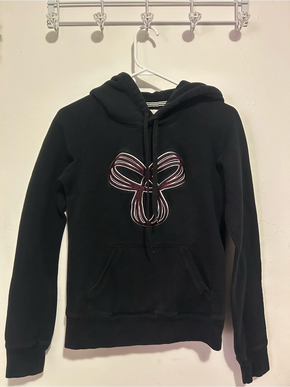 Aritzia Tna Baltic Hoodie